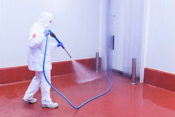 Best Sidewalk and Walkway Cleaning  in Mckeesport, PA