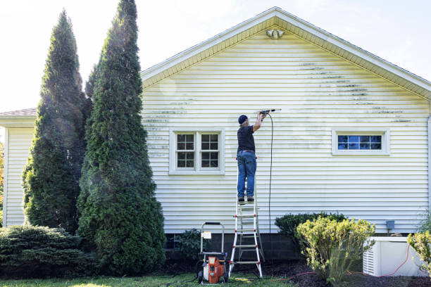 Best Rust Removal  in Mckeesport, PA
